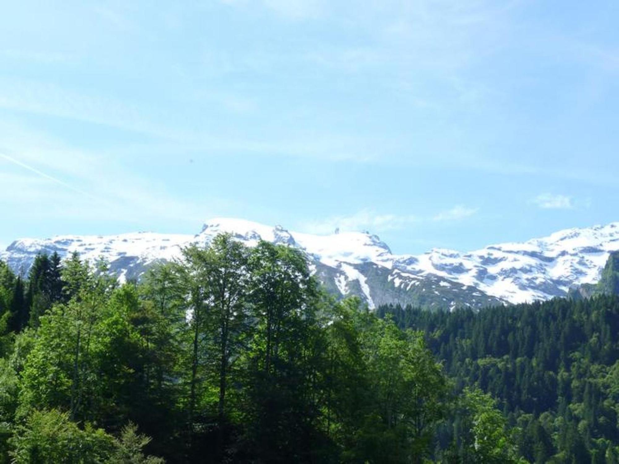 Apartment Sattelboden 4 By Interhome Engelberg Dış mekan fotoğraf